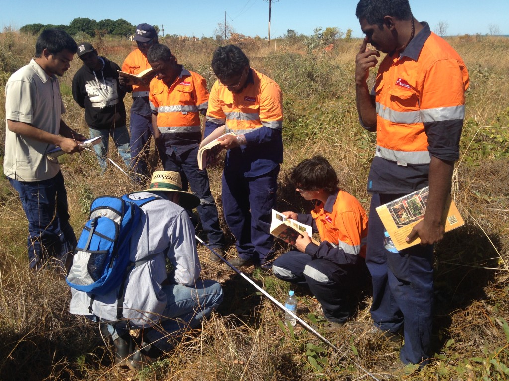 Undertaking plant surveys near Broome, WA